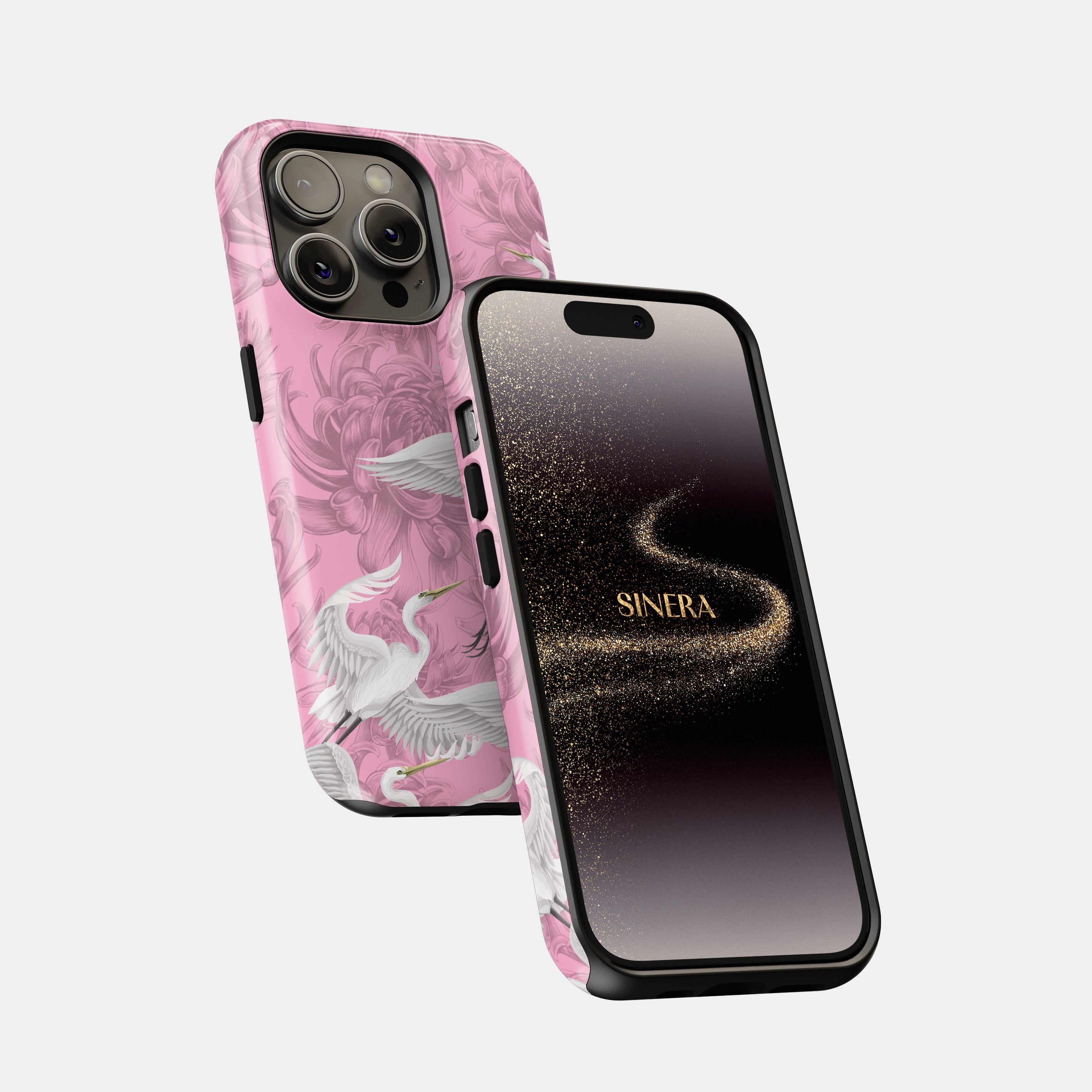 Aurora Phone Case