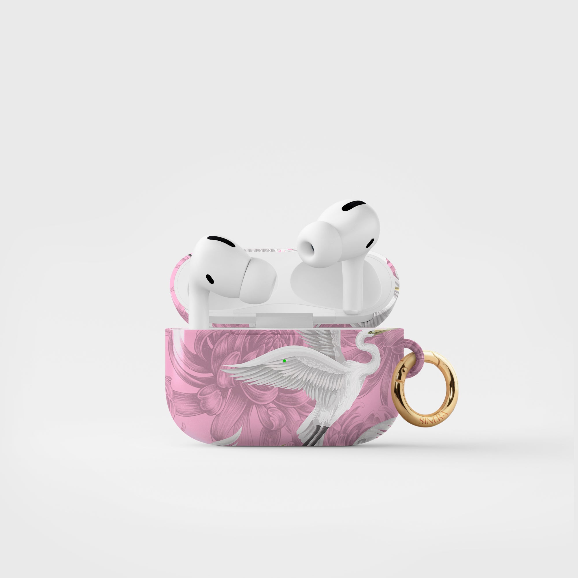 Aurora AirPods Case