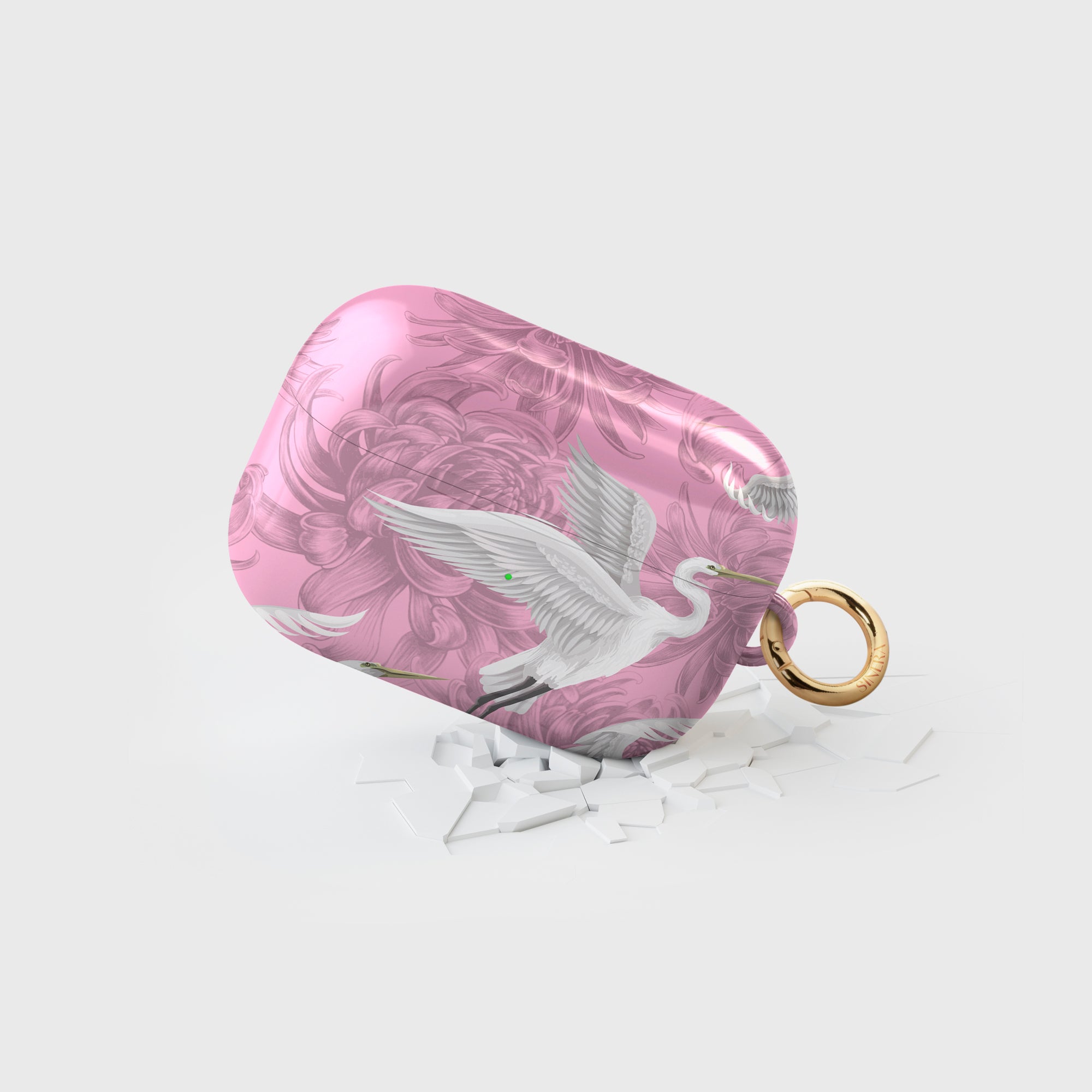 Aurora AirPods Case