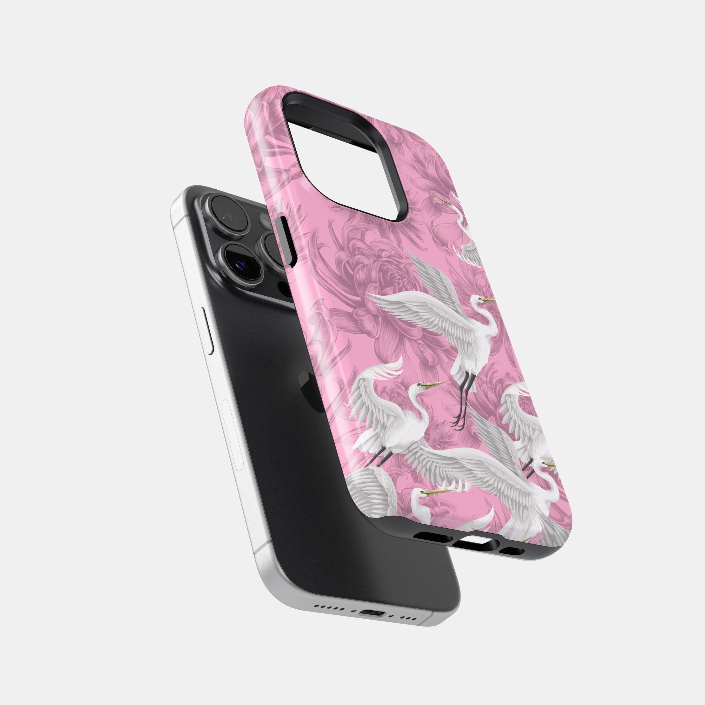 Aurora Phone Case